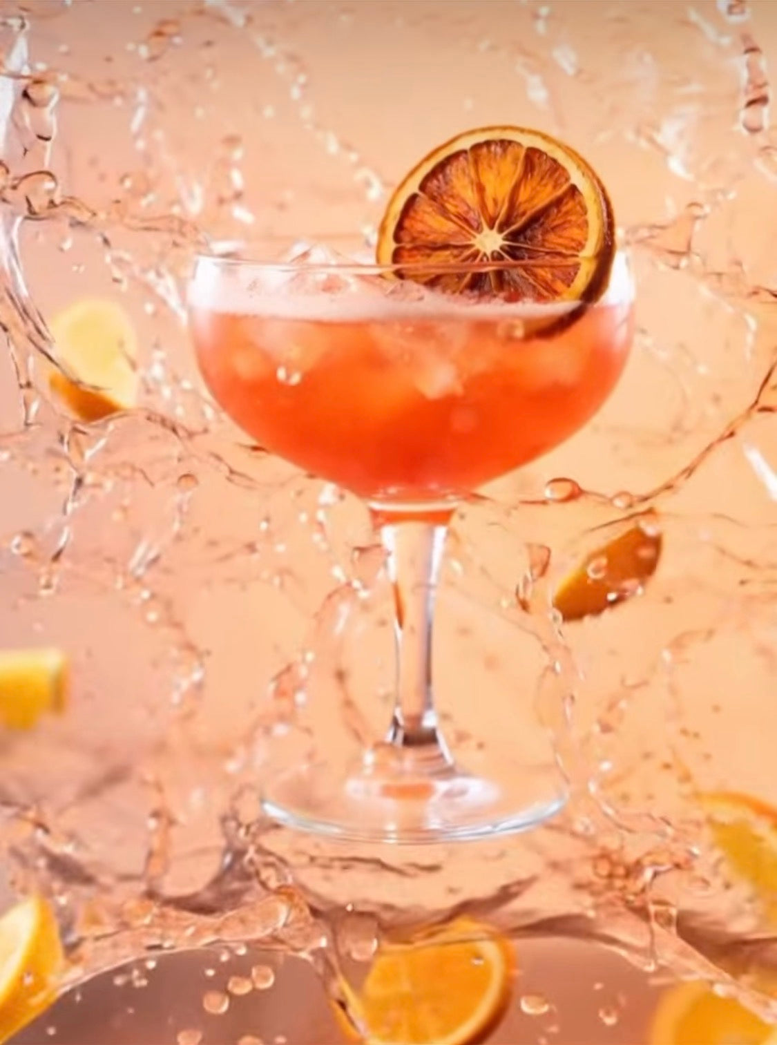 Luxury Dehydrated Orange Garnish